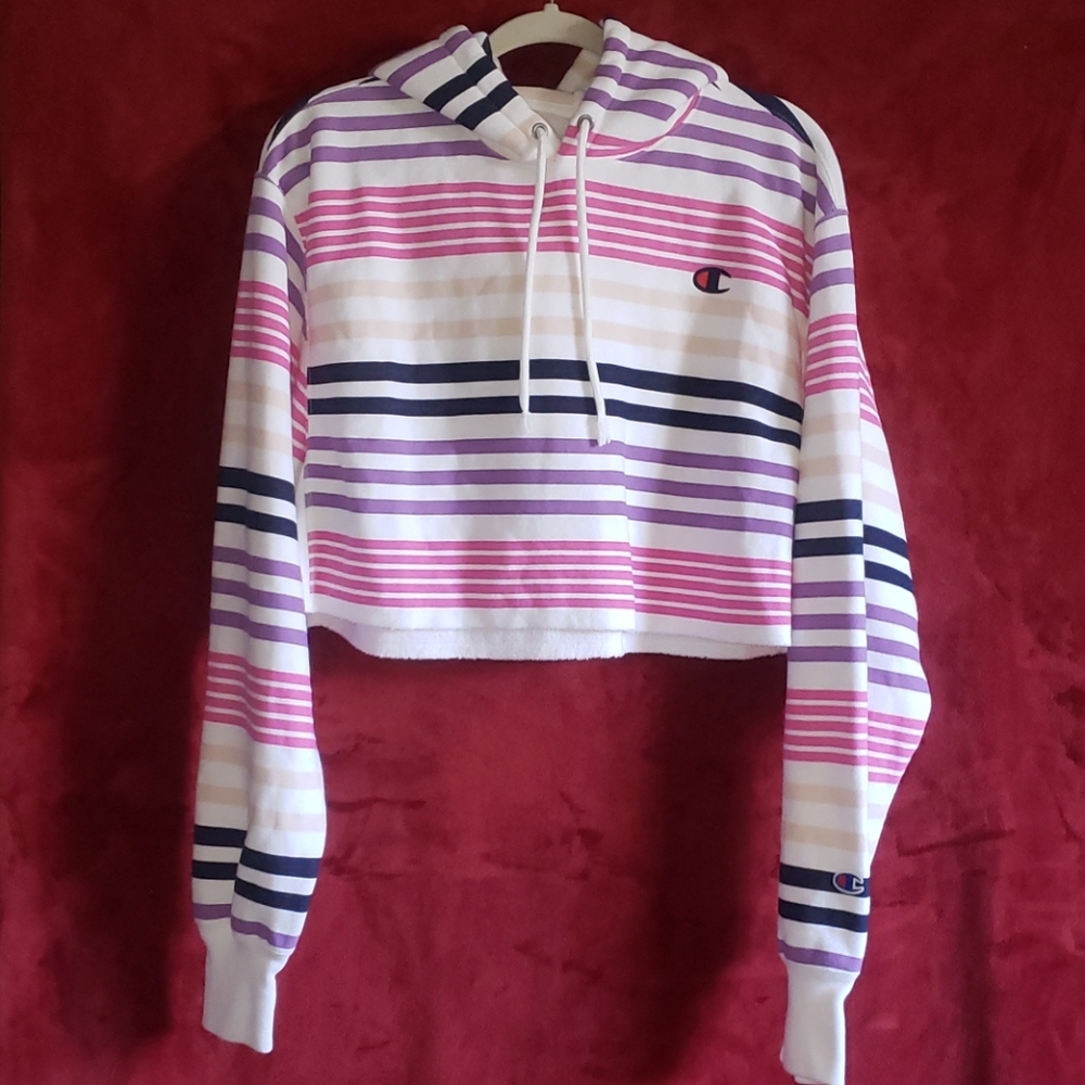 Champion UO Medium Stripe Cropped Hoodie